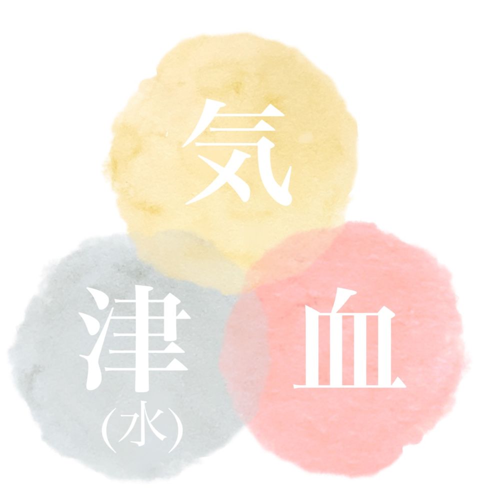 氣・血・津（しん）の図